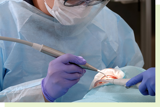 regenerative_image02